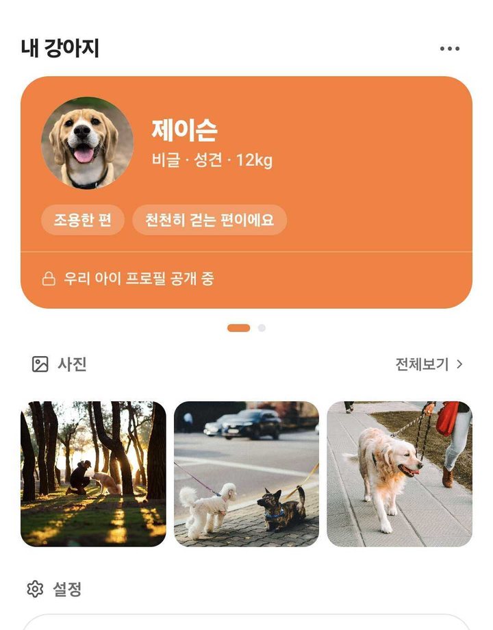 내 강아지 화면 — 산책 사진이 모인 갤러리